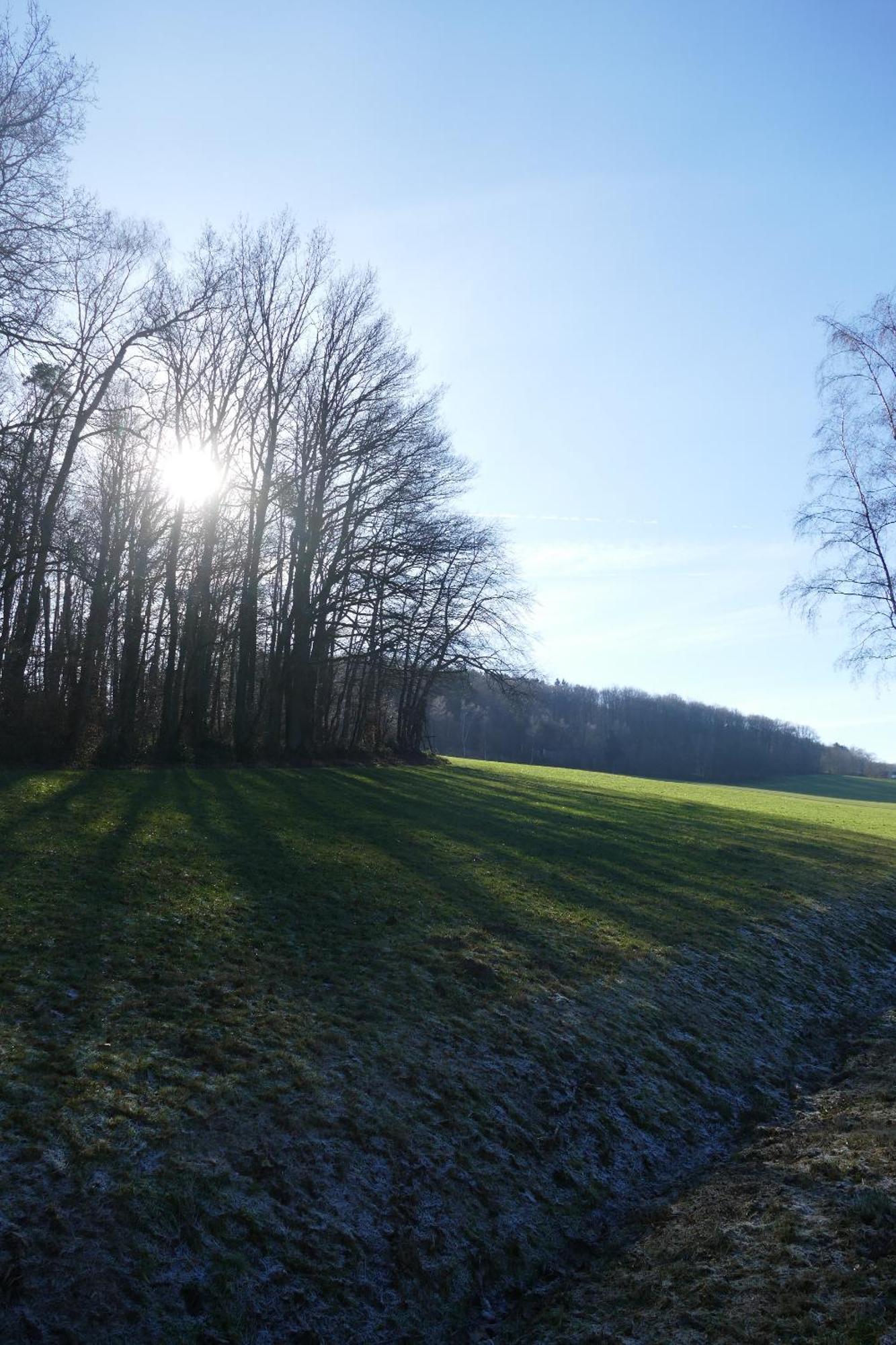 Ferienwohnung Hueppelroettchen Eitorf Exteriér fotografie